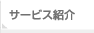 �T�[�r�X�Љ�