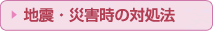 �n�k�E�ЊQ���̑Ώ��@