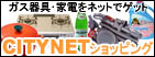 CITY NET
