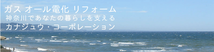 ���炵�ƃG�l���M�[�̃T�C�g�@�J�i�W���E.com