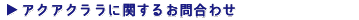 �A�N�A�N�����Ɋւ��邨�⍇��