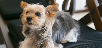 フルリノベーション