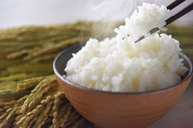 ノーリツプログレこだわりご飯イメージ