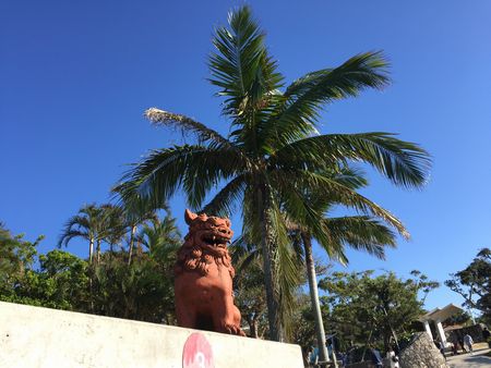 沖縄美ら海水族館 シーサー