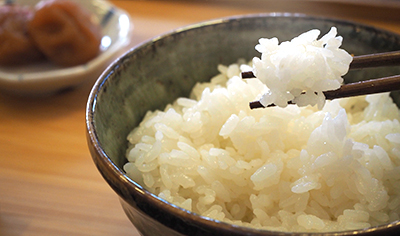 かまどさんで炊いたおいしいご飯